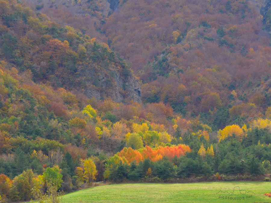 Foto: Otoño en el embalse de Espinasess, situado bajo el lago de Serre - Ponçon en las cercanias de Gap, Hautes-Alpes, Francia.